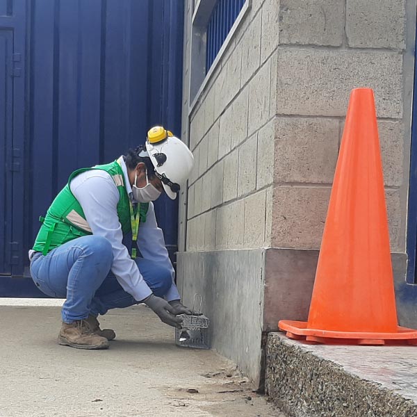 desratizacion-en-lima-peru